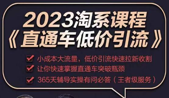 2023直通车低价引流玩法课程,小成本大流量,低价引流快速拉新收割,让你快速掌握直通车突破瓶颈