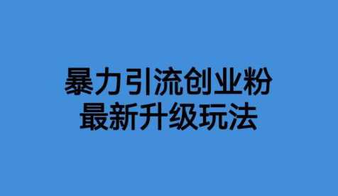 价值1980一千个野路子暴力引流最新升级玩法