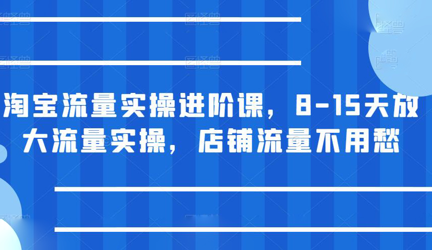 淘宝流量实操进阶课,8-15天放大流量实操,店铺流量不用愁