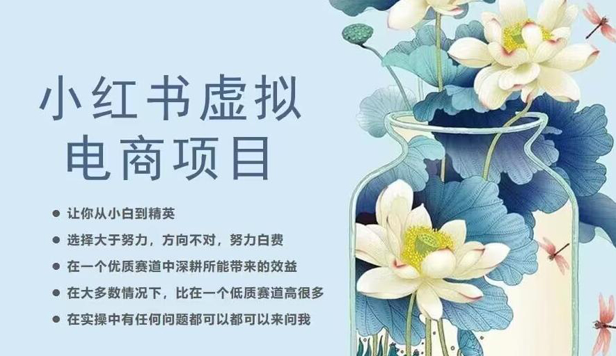 小红书虚拟电商从0到1,让你从小白到精英(20节实操课程)
