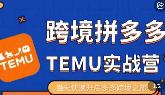 大鹏出海·拼多多跨境temu运营指导,开店注册+选品+核价上架,日出千单实战课