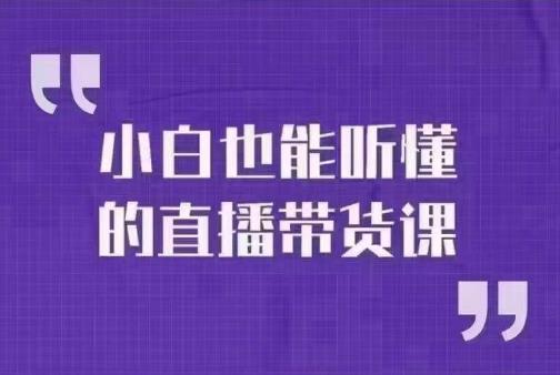大威本威·小白也能听懂的直播带货课,玩转直播带货,轻松出单