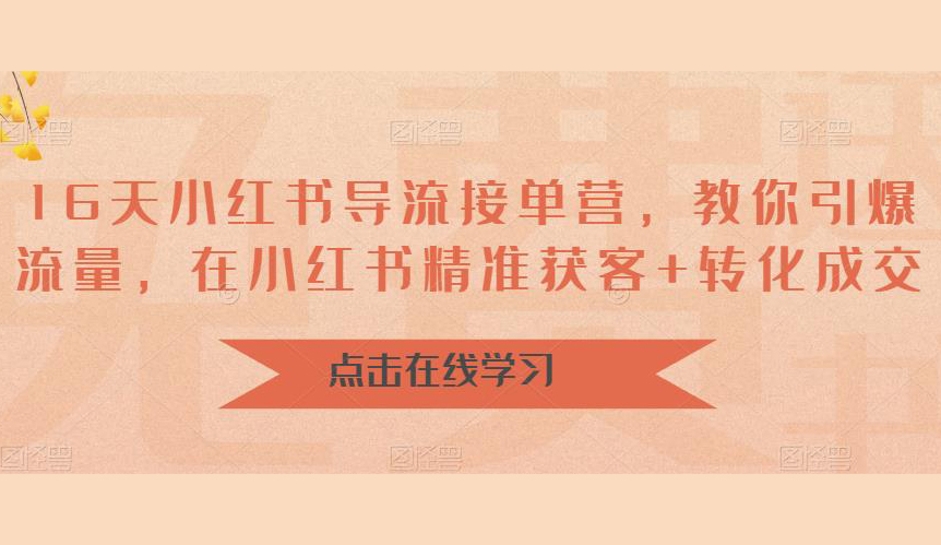 16天小红书导流接单营,教你引爆流量,在小红书精准获客+转化成交