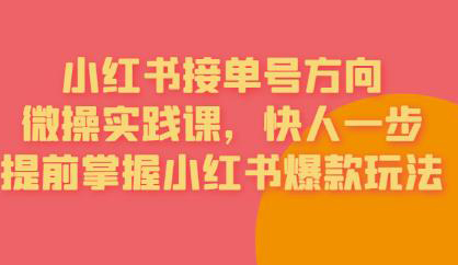 接单号方向·小红书微操实践课,快人一步,提前掌握小红书爆款玩法