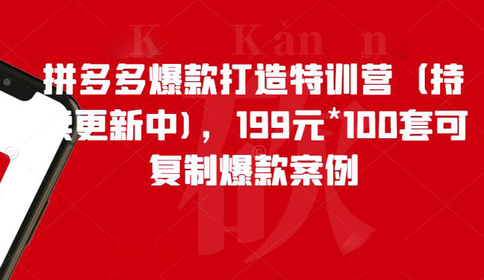 拼多多爆款打造特训营,199元*100套可复制爆款案例