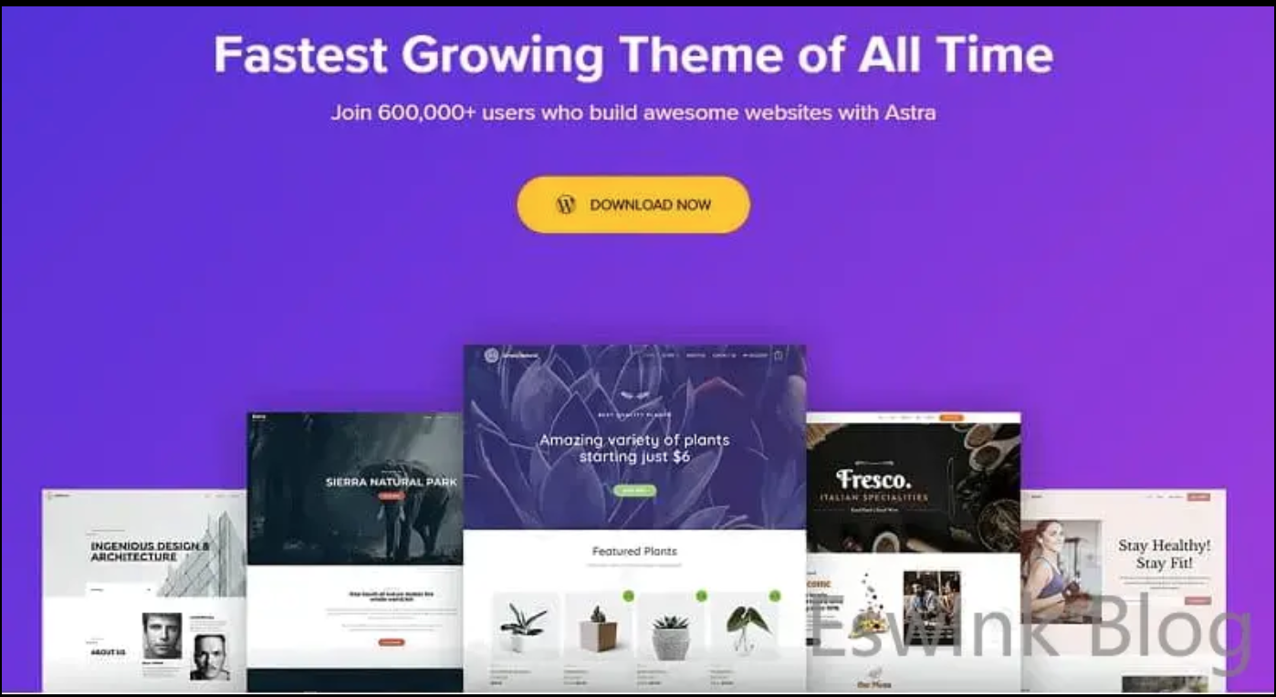Astra Pro 4.1.6 完美中文汉化破解版 自定义响应式WordPress主题