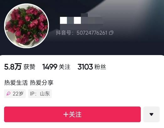 最近爆火的抖音小程序项目,榜一是个新手,一个作品赚了60000+,新手小白快上车