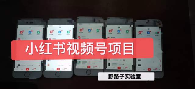 野路子小红书视频号1.0项目,直接上手操作就能赚钱的短视频项目